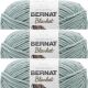 Spinrite Bernat Blanket Big Ball Yarn Misty Green Pack of 3 Skein