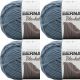 Spinrite Bernat Blanket Big Ball Yarn Stormy Green Pack of 4 Skein
