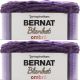 Spinrite Bernat Blanket Ombre Yarn Eggplant Ombre Pack of 2 Skein