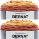 Spinrite Bernat Blanket Ombre Yarn Orange Crush Ombre Pack of 2 Skein