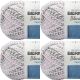 Spinrite Bernat Blanket Twist Yarn Lilac Grove Pack of 4 Skein
