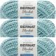 Spinrite Bernat Blanket Twist Yarn Making Waves Pack of 3 Skein