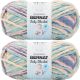 Spinrite Bernat Baby Blanket Big Ball Yarn Mini Succulents Pack of 2 Skein