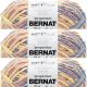Spinrite Bernat Blanket Big Ball Yarn Pink Lagoon Pack of 3 Skein