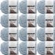 Spinrite Bernat Blanket Big Ball Yarn Fog Twist Pack of 12 Skein