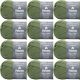 Spinrite Patons Classic Wool Yarn Meadow Pack of 12 Skein