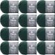 Spinrite Patons Classic Wool Yarn Pine Pack of 12 Skein