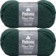 Spinrite Patons Classic Wool Yarn Pine Pack of 2 Skein