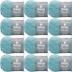 Spinrite Patons Classic Wool Yarn Teal Chalk Pack of 12 Skein