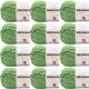 Spinrite Bernat Softee Chunky Yarn Limelight Pack of 12 Skein