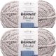 Spinrite Bernat Blanket Twist Yarn Dove Pack of 2 Skein