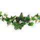 Ivy Green Flocked 6 Feet Garland