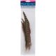 Pheasant Feathers Ringneck Tail 8 to 12 Inches