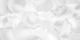 Satin Loose Rose Petals White