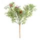 Boxwood Berry Pick Green 10.5 X 13 Inches