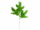 Pick Tudor Angel Pine Glittered Silver 13 Inches Window Box