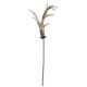 Antler Christmas Pick Natural 2 X 8 Inches