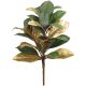 Magnolia Spray Green/Gold 4 X 17 Inches