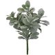 Lamb S Ear Spray Green/White 5 X 18 Inches