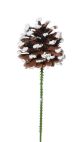 Pinecone Picks Snowtip 2.25 Inches