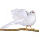 Bird with Mica Dove White 7 Inches