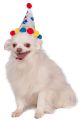 Pet Birthday Hat Medium To Large Boy Paw Print