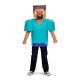 Steve Classic Minecraft Costume Multicolor Large 10 12 