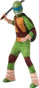 Teenage Mutant Ninja Turtles Leonardo Costume Large