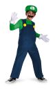 Boys Nintendo Super Mario Brothers Luigi Deluxe Costume 10 12