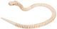 Unfinished Wood Wiggle Animal Cobra 24 Inches