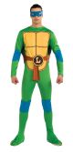 Nickelodeon TMNT Adult Leonardo and Accessories Green Standard Costume