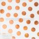 Go Now Go Collection 12 X 12 Vellum Paper With Foil Accents Dots