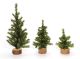 Canadian Pine Tree With Wood Look Base 49 Tips Green 8 Inches