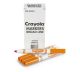 Crayola Bulk Broad Line Markers Orange 12 Count