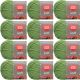 Spinrite Red Heart Soft Yarn Guacamole Pack of 12 Skein