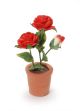 Miniature Potted Red Roses 1 5/8 Inches