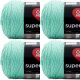 Spinrite Red Heart Super Saver Yarn Aruba Sea Pack of 4 Skein