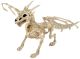 Skeleton Dragon Large 24 Inches