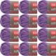 Spinrite Red Heart Soft Yarn Plummy Pack of 12 Skein