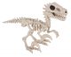 Seasons Small Raptor Dino Skeleton 5.5 Inch Bone Color