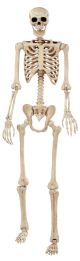 Seasons Large Pose N Stay Skeleton 74 inch 6.2 Tall 