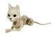 Seasons Cute Laying Cat Skeleton 5.25 inch 