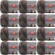 Spinrite Red Heart Unforgettable Yarn Echo Pack of 12 Skein