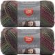 Spinrite Red Heart Unforgettable Yarn Echo Pack of 2 Skein