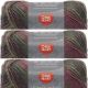 Spinrite Red Heart Unforgettable Yarn Echo Pack of 3 Skein