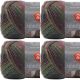Spinrite Red Heart Unforgettable Yarn Echo Pack of 4 Skein