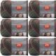 Spinrite Red Heart Unforgettable Yarn Echo Pack of 6 Skein