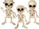 Seasons Franky Vampire and Skeleton Bonez Asst 7 inch 