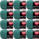 Spinrite Red Heart Super Saver Yarn Jade Pack of 12 Skein