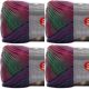Spinrite Red Heart Unforgettable Yarn Stained Glass Pack of 4 Skein
